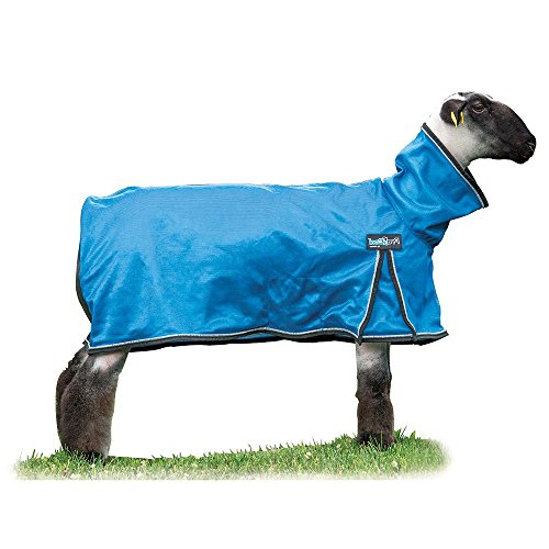 Weaver Leather Livestock ProCool Mesh Sheep Blanket with Reflective Piping Blue Extra Small