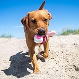 Minifeet Hundespielzeug Knotentier Esel - Für Wilde Spiele oder entspanntes Kauen. Pflegt zusätzlich das Gebiss deines Hundes