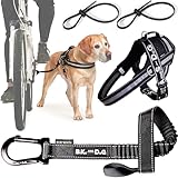 BIKE AND DOG