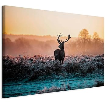 murando g-C-0057-b-b Canvas Print