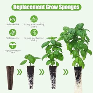 Grow Sponges 50 Pack, Hydroponics Replacement Root Growth Sponges Compatible with Aero Garden iDOO and Most Other Brands Grow Sponges 50 Pack Hydroponics Replacement Root Growth Sponges Compatible with Aero Garden iDOO and Most Other Brands