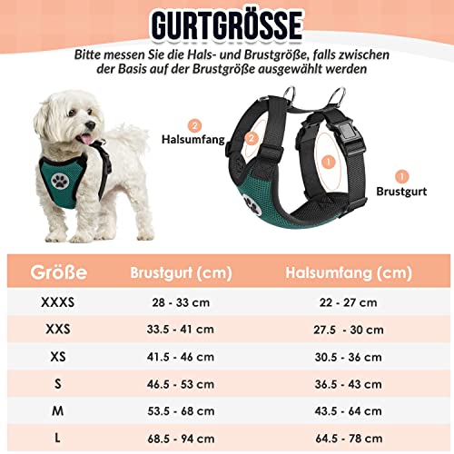 SlowTon Hundegeschirr für Hunde, No Pull Sicherheitsgeschirr Kleine Mittlere Hunde Brustgeschirr Dog Harness Weich Gepolstert Atmungsaktiv