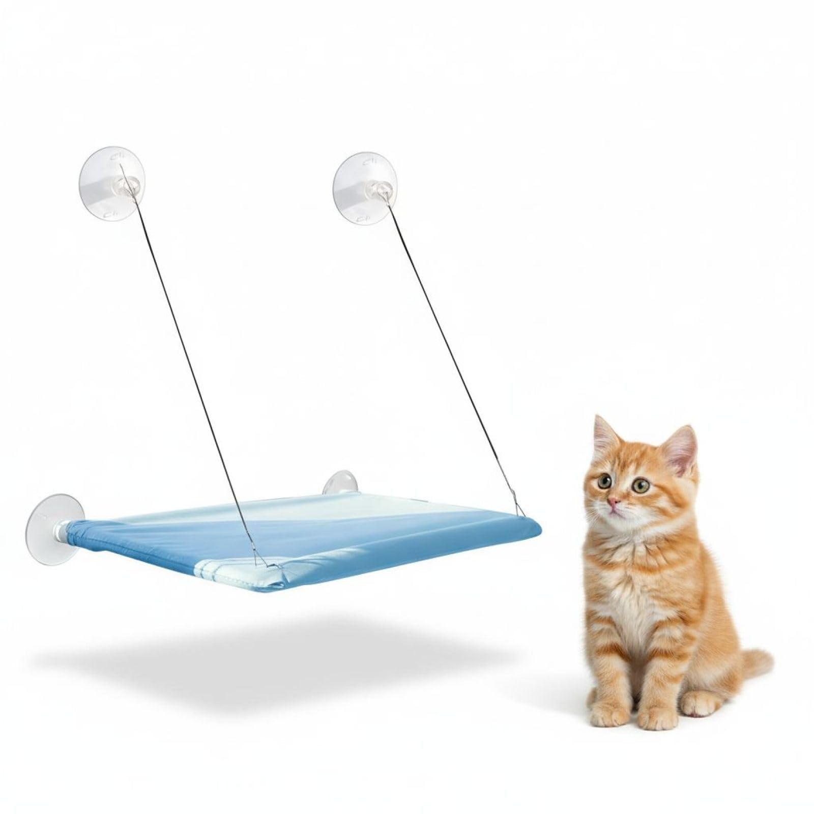 Hamac de fenêtre pour Chat, ventouses puissantes, 55 x 32 cm, Tissu Oxford et Fil métal, Gain de Place, Couchage pour Chat d’intérieur, Bleu