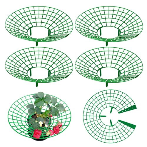 LUMOOM 4 supporti per fragole, supporto per fragole con protezione per lumache, fragole per piante di fragole, torre per piante a spirale, supporto per pomodori e fragole, protezione per pomodori (A)