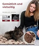 HS-Hundebett® Hundedecke S (55x75 cm) – Wendbar & gemütlich Dank 3 cm Füllung – Perfekt fürs Sofa, Auto & Hundebox – Pfote Beige, Made in DE