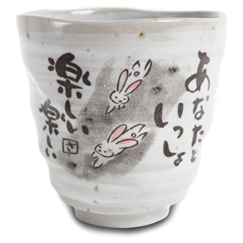 Mino Ware Japanese Yunomi Chawan Tea Cup Cover