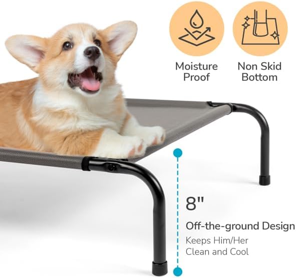 Large Gray Dog Bed - 50" D x 31" W x 8" H