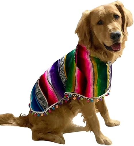 mexican dog clothes