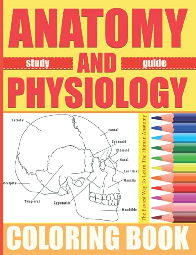 Anatomy And Physiology Coloring Book: The Ultimite Human Body Anatomy & Physiology Colouring Book, An Anatomy Organs Guided Workbook For Nursing & ... Book For Nurses, Kids and Even Adults