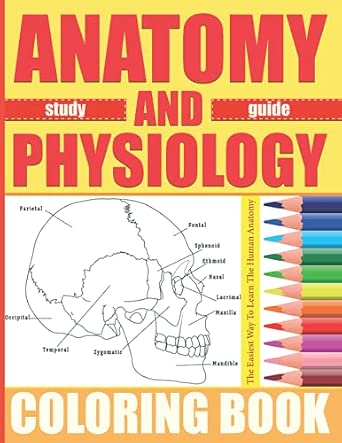 Anatomy And Physiology Coloring Book: The Ultimite Human Body Anatomy ...