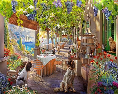 Springbok Vineyard Porch Rompecabezas de 1000 Piezas para Adultos miniatura 1