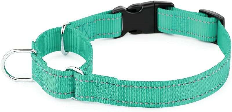 Coleira Martingale para Cães com Fecho de Engate Rápido PLUTUS PET, Teal, XS