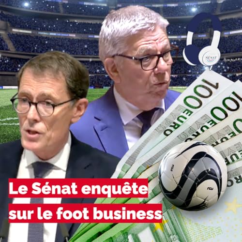 Le S&eacute;nat enqu&ecirc;te sur le foot business