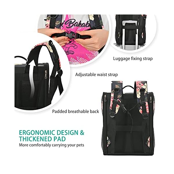 SUPPETS-Cat-Backpack-Airline-Approved-Carrier-Backpack-for-Small-Dogs-Carrier-with-Ventilated-Design-Collapsible-and-Waterproof-Pet-Bag-Carrier-with-Washable-Pad-for-TravelHikingOutdoor SUPPETS Cat Backpack Airline Approved Carrier - Best Travel Bag for Small Dogs