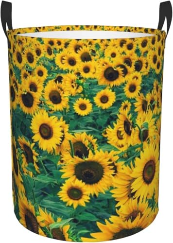 ̔Ђ܂ ꕞ[󂩂 ܂ݑeʐ󕨂 AjfUC{bNX LN^[킢~^[ M