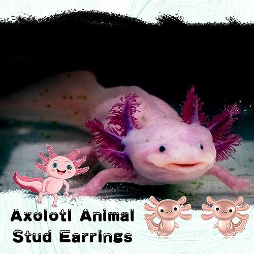 Axolotl Earrings for Womens 925 Sterling Silver Rose Gold/Blue Axolotl Stud Earrings Hypoallergenic Cute Axolotl Gifts Animal Jewelry Gifts for Women2