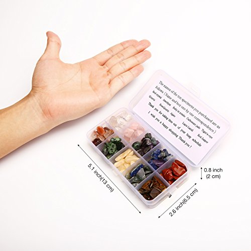 Crystal Quartz,1/2 lb 10-Stone Mix:Red Crystal.Amethyst,Red&Green Gem,Yellow Agate,Tiger's Eye,Turquoise,Rose Quartz,Green Olives,Lapis Lazuli,Red Agate, Raw Natural Crystals for Cabbing