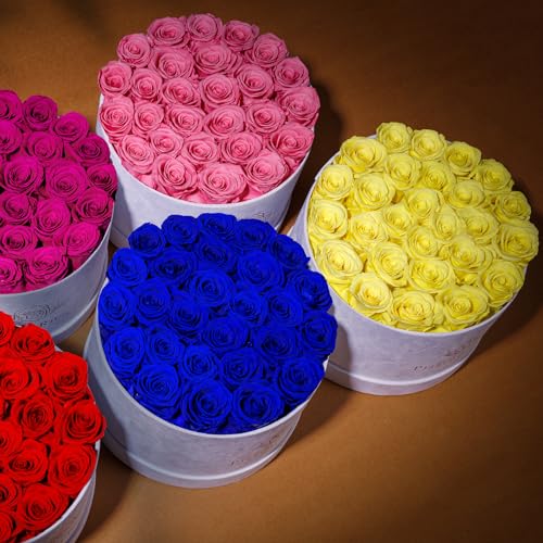 27 Flowers in a Luxury Suede Box, Birthday Gifts for Women, Preserved Flowers, Mothers Day Roses Gift for Mom, Royal Blue