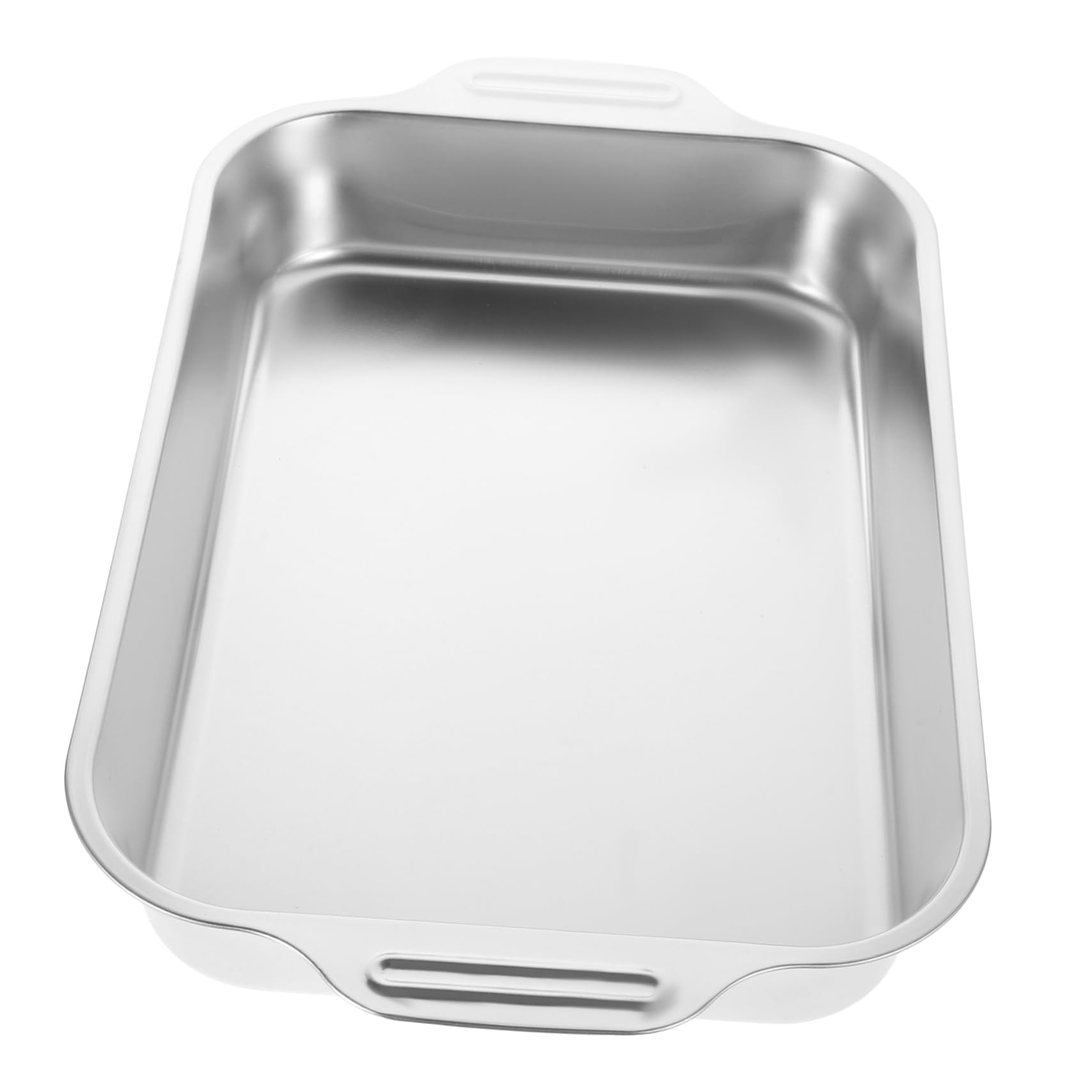 NOLITOY Plat De Cuisson Rectangulaire Inox Pour Poisson Grillé - Grand Bac Profond Anti-Débordement Pour Four Et Barbecue