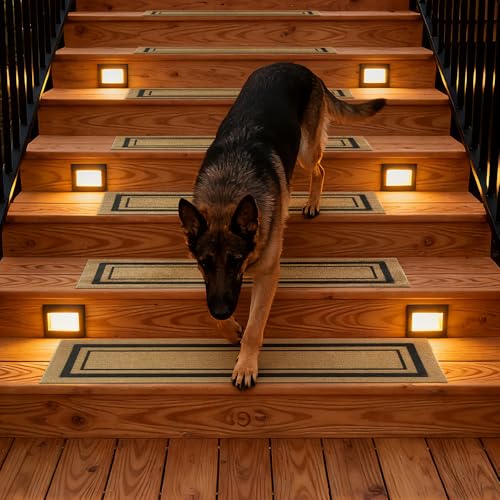 ApxRoufin Outdoor Stair Treads for Wooden Steps, 8.5" x 30", 2 Pcs, Brown by ApxRoufin - Used condition - Image 9
