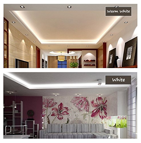 IEKOV White Color LED Strip Light, AC 110-120V Flexible/Waterproof/Multi-Modes Function/Dimmable SMD5050 LED Rope Light with Remote for Home/Office/Building Decoration (164ft/50m)