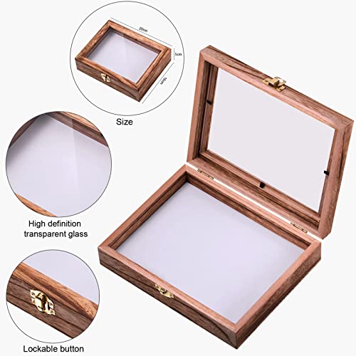 Insect Display Case Box Collection Box With Clear Top, Eva Foam Pinning Board And 100 Pieces Pins Insect Shadow Box Kit Entomology Supplies For Collecting Butterfly Specimen(Carbonized Black) #TOP5