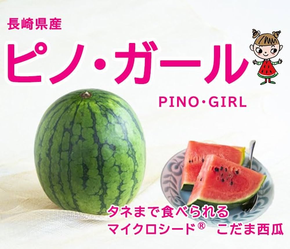 ③長崎県・じゃぶじゃん・ピノガール Amazon.co.jp: すいか ピノガール 優品 3～6玉 8kg 長崎県産