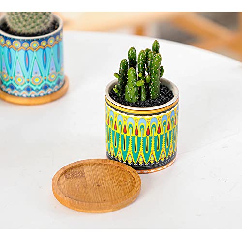 Pot de fleur pour succulente avec plateau pour éviter les fuites d'eau - 4
