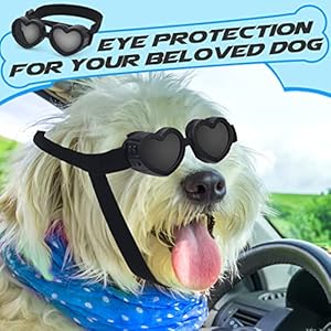Small-Dog-Goggles-UV-Protection-Goggles-Coldairsoap-Small-Breed-Dog-Sunglasses-Heart-Shape-Dog-Sunglasses-with-Adjustable-Strap-Pet-Sunglasses-Windproof-Anti-Fog-Dustproof-Glasses-Black - Cucciolini Doodles Small-Dog-Goggles-UV-Protection-Goggles-Coldairsoap-Small-Breed-Dog-Sunglasses-Heart-Shape-Dog-Sunglasses-with-Adjustable-Strap-Pet-Sunglasses-Windproof-Anti-Fog-Dustproof-Glasses-Black