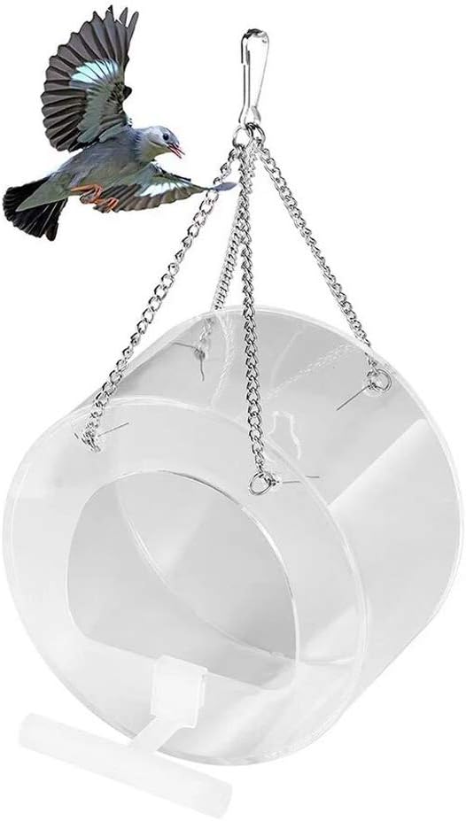 bird watching per gatti