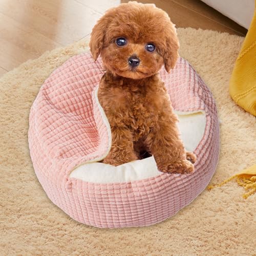 Lit pour petit chat d'intérieur et lit chaud pour chien ou lapin