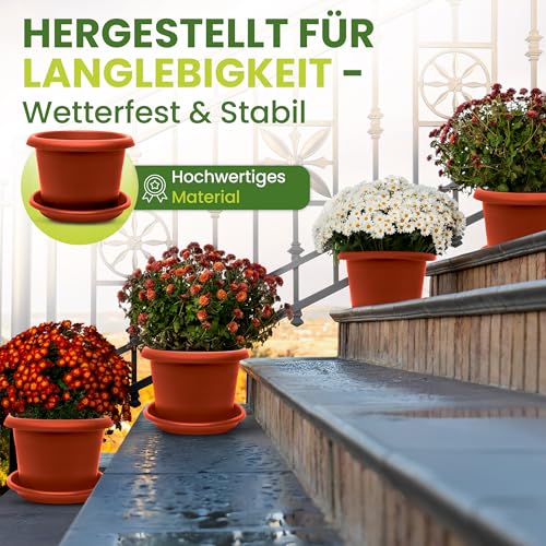 carex morowii variegata Carex morrowii Ice Dance 2gal – Cornell Farm main image 0