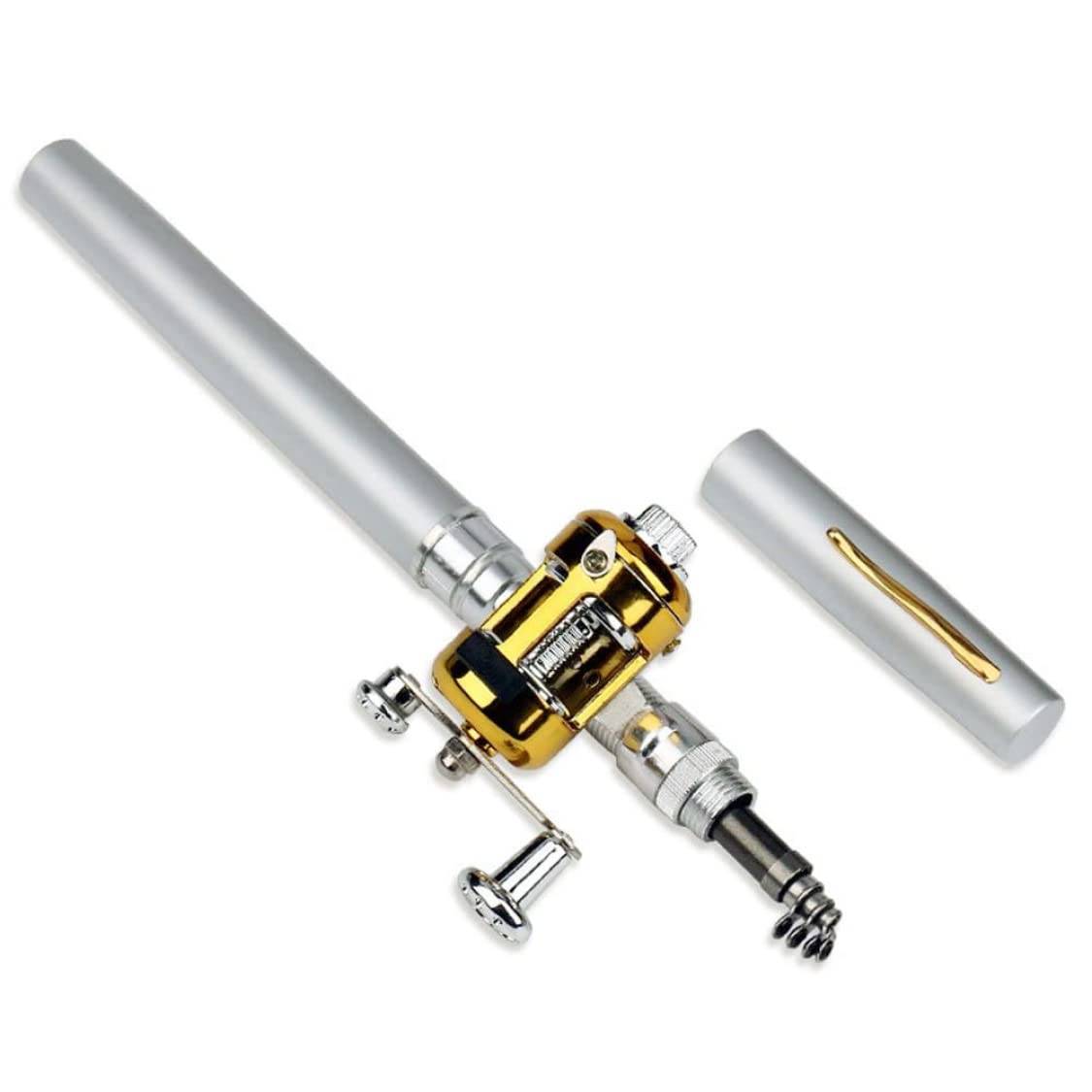 Pole de pêche à Stylo 1pc Mini Canne à pêche de Poche Portable de Poche télescopique Accessoire de pêche à la pêche (Argent)