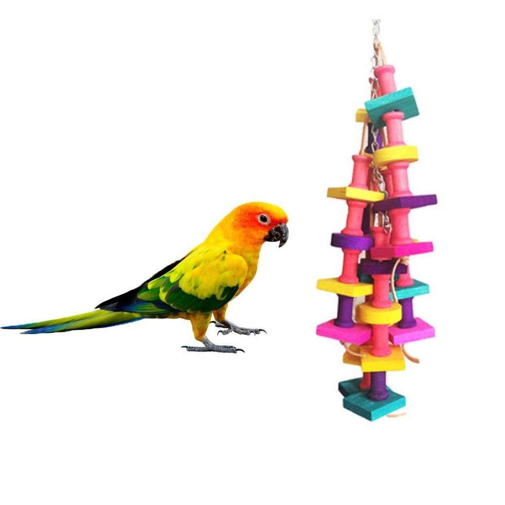 Vogelschaukel Aus Holz – Medium/Large Größe | Spielzeug Für Käfigvögel | Robustes Schaukel-Zubehör Für Sittiche & Co.