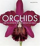 Orchids