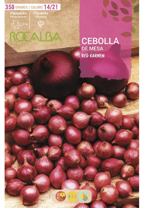 Bulbo de cebolla para plantar variedad 'red carmen' 350gr - Rocalba