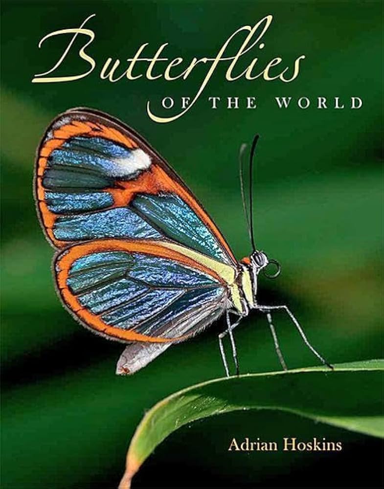 洋書 Adrian Hoskins 1,000 Butterflies 1000 Butterflies: An Illustrated Guide to the World's Most