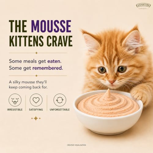 Image of Grain Zero Kitten Wet Mousse 80g Pack of 5, 400g | Ocean Fish | Rich in Protein | Promotes Hydration & Easy to Digest | No Artificial Flavours |Packed with Essential Vitamins & Antioxidants
