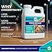 Eco-Friendly Silicone Premium Wood Waterproofing Sealer – 16Oz Concentrate, Makes 1 Gallon, Waterproof, VOC-Free for Deck, Fences & Furniture