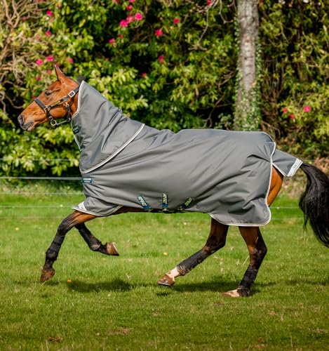 Couverture cheval Amigo Bravo 12 Plus M 250g imperméable chaud - 3