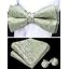 Sage Green Champagne