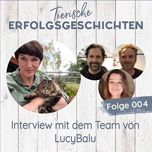 Katzenzubehör "geboren im Tierheim" - Interview mit LucyBalu Titelbild