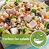 Sow Right Seeds - Iceberg Lettuce Seeds for Planting - Ideal Fall Lettuce for Hydroponics, Summer & Fall Planting - Grow Fresh Leafy Greens for Delicious Salads - Non-GMO Heirloom Variety (1) #5