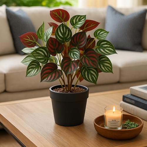 Image of Habere India-All the Cultures Fabricating India Artificial Plant with Pot for Home Decor | Fake Plants for Living Room Decoration | Artificial Plants for Decoration (Design 02; L24 x W25 X H38 cm)
