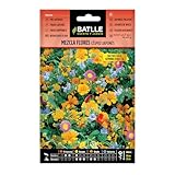 Semillas Batlle Miscela Fiori CESPED Giappone