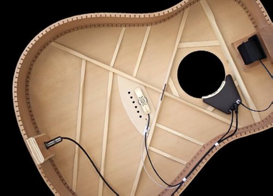 Amazon.co.jp: L.R.Baggs ◇上位バージョン Anthem