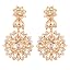 D520 Gold