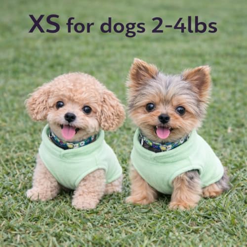 Image of JACKO & CO - Fleece Vest Dog Sweater with Leash Ring - Soft, Warm & Lightweight Pullover Coat for Small & Medium Dogs, Puppies & Cats - Cozy Fall /Winter /Spring Pet Jacket (Mint Green, X-Small 3lbs)