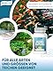 AGUALEVE® Filterstarterbakterien 250g *NEU* | aktiviert den Teichfilter Dank innovativer BIO3-Hochleistungs-Mikroogransimen | Fisch-, Garten- & Schwimmteiche | Made in Germany | 37.500l Teichwasser