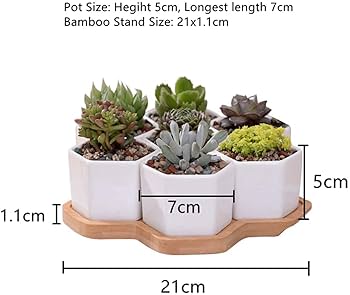 Amazon.co.jp: 鉢 陶器 植木鉢 うえき鉢 おしゃれ 北欧 装飾的な